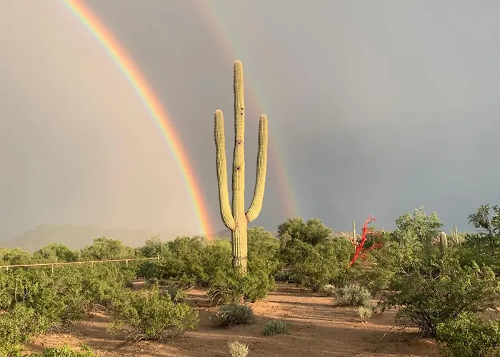 The Island In 3* Tucson