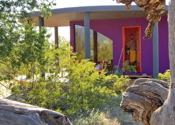 The Island In Tucson